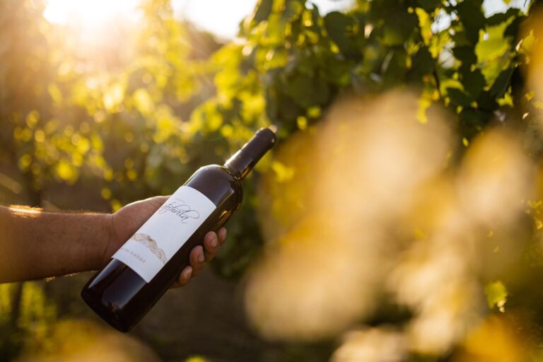 Vinařství Kratochvíla - Láhve ve vinohradě